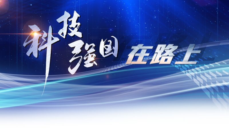 性能测试报告模板：企业IT决策者的实用指南**
