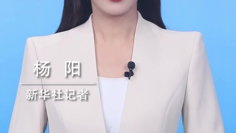OA办公系统：揭秘其核心规格参数**